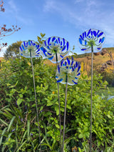 Glass Garden Flowers -Agapanthus