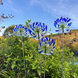 Glass Garden Flowers -Agapanthus