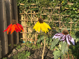 Garden Art Workshops - Workshop - Studio Shards