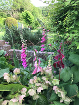 Garden Art Workshops - Workshop - Studio Shards