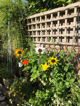 Garden Art Workshops - Workshop - Studio Shards