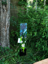 Garden Art Workshops - Workshop - Studio Shards