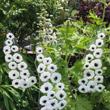 Garden Art Workshops - Workshop - Studio Shards