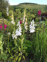 Garden Art Workshops - Workshop - Studio Shards