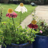 Garden Art Workshops - Workshop - Studio Shards