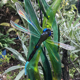 Glass Garden Art - Dragonfly and Reeds - Garden Art - Studio Shards