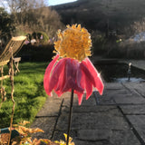 Glass Garden Flowers - Daisies - Garden Art - Studio Shards