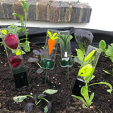 Vegetable Garden Markers - Garden Art - Studio Shards