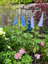 Glass Garden Flowers - Delphinium - Garden Art - Studio Shards