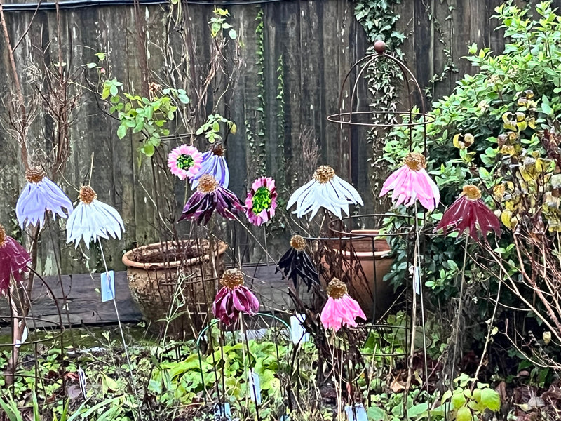 Glass Garden Flowers - Echinacea - Garden Art - Studio Shards