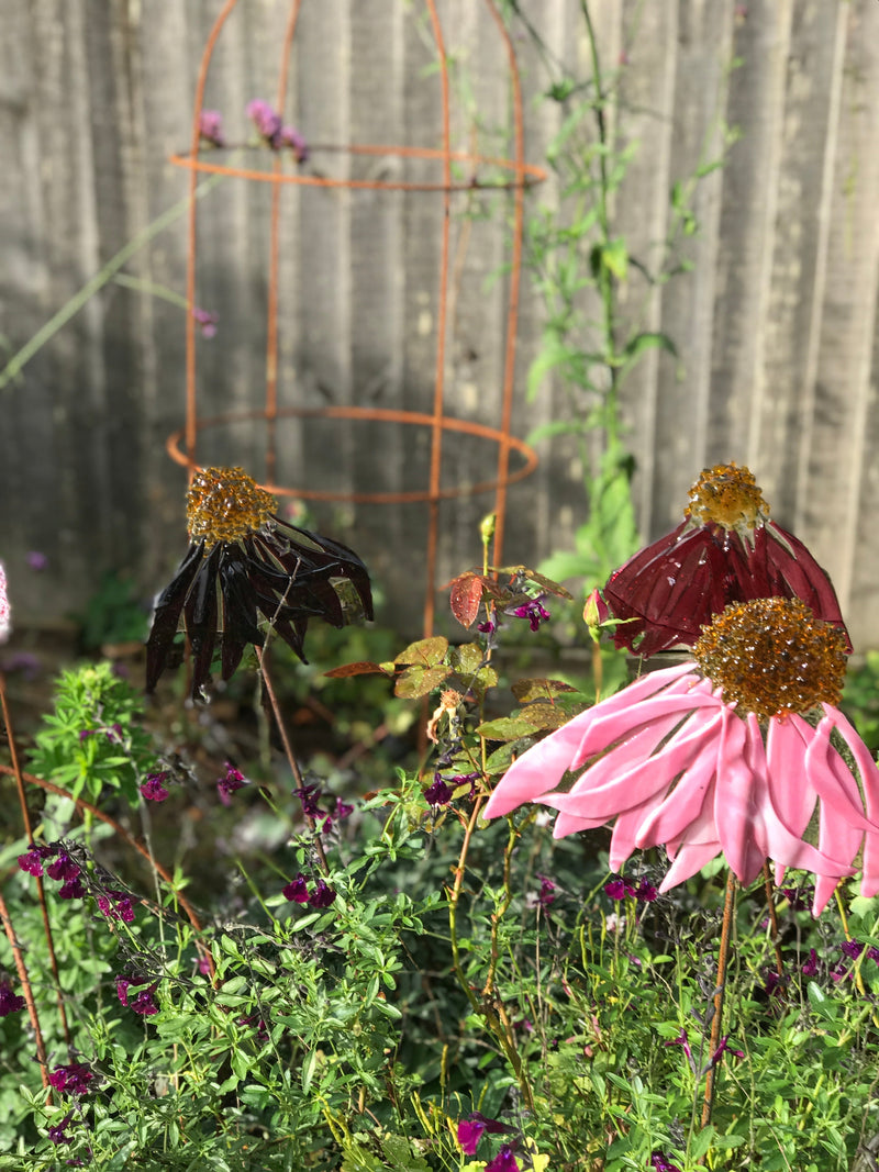 Glass Garden Flowers - Echinacea - Garden Art - Studio Shards