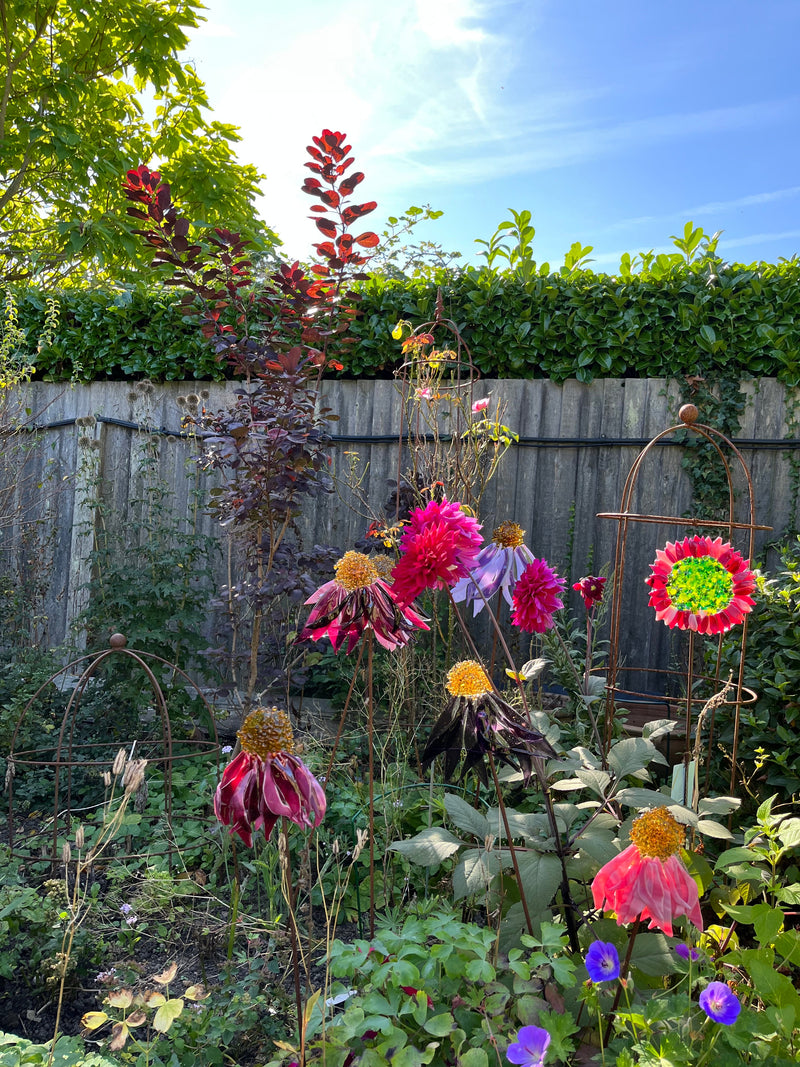 Glass Garden Flowers - Echinacea - Garden Art - Studio Shards