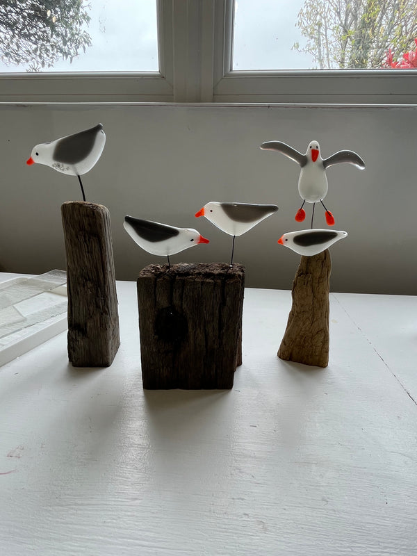 Double Glass and Driftwood Seagull Sculpture