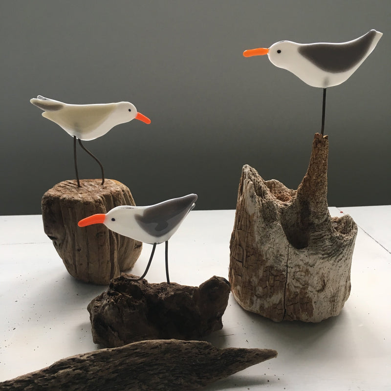 Glass and Driftwood Seagull Sculpture - Studio Shards