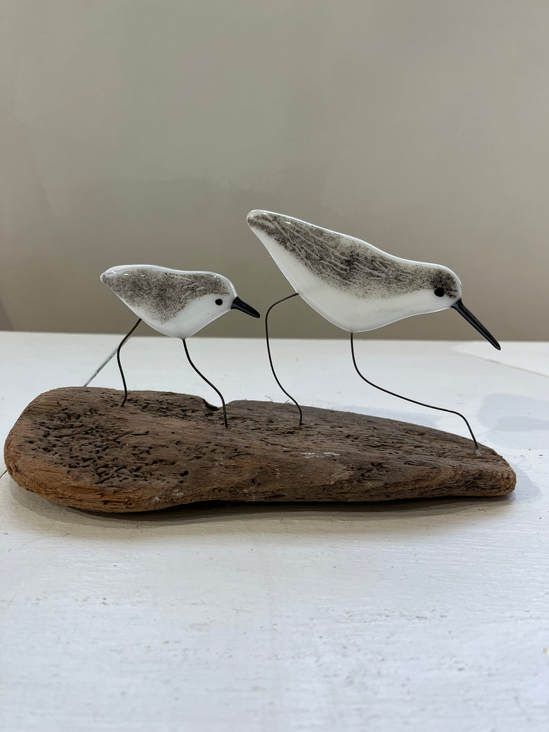 Sandling parent and baby bird on driftwood